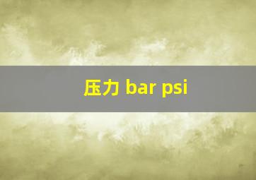 压力 bar psi